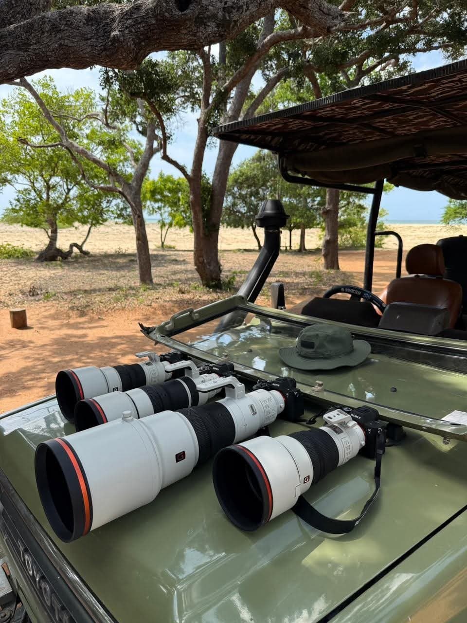 Safari Jeep