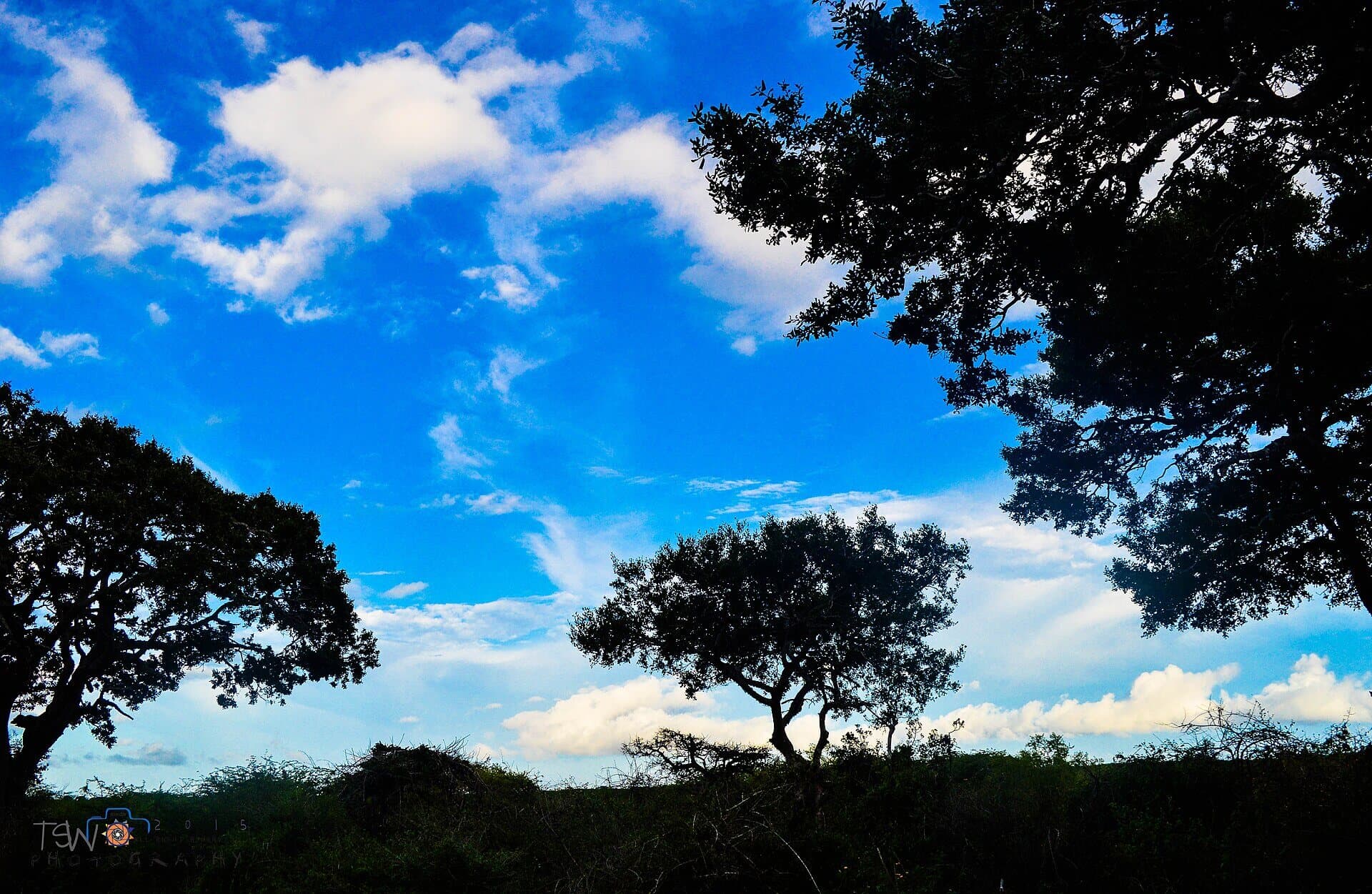 Bundala National Park safari — photo 2