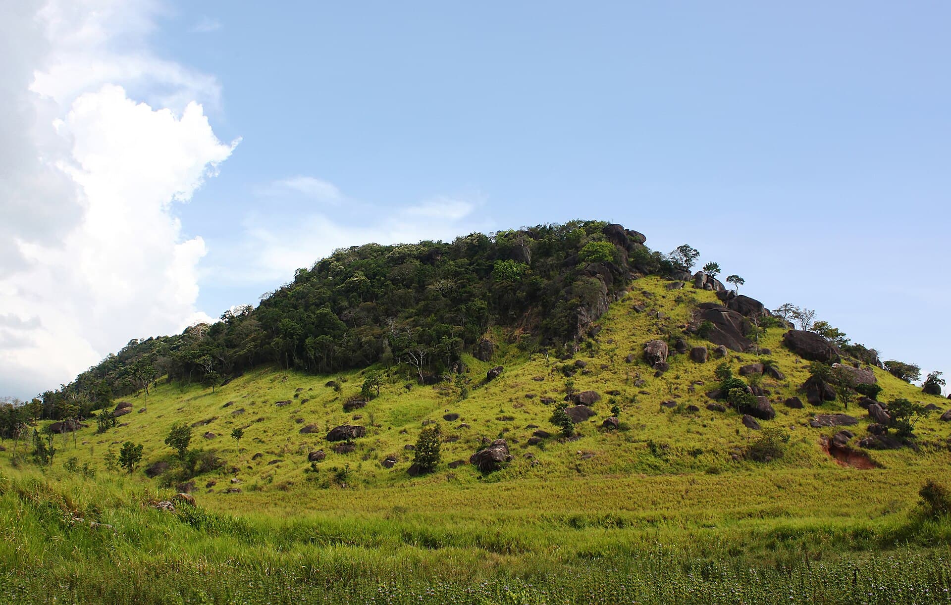 Maduru Oya National Park safari — main photo