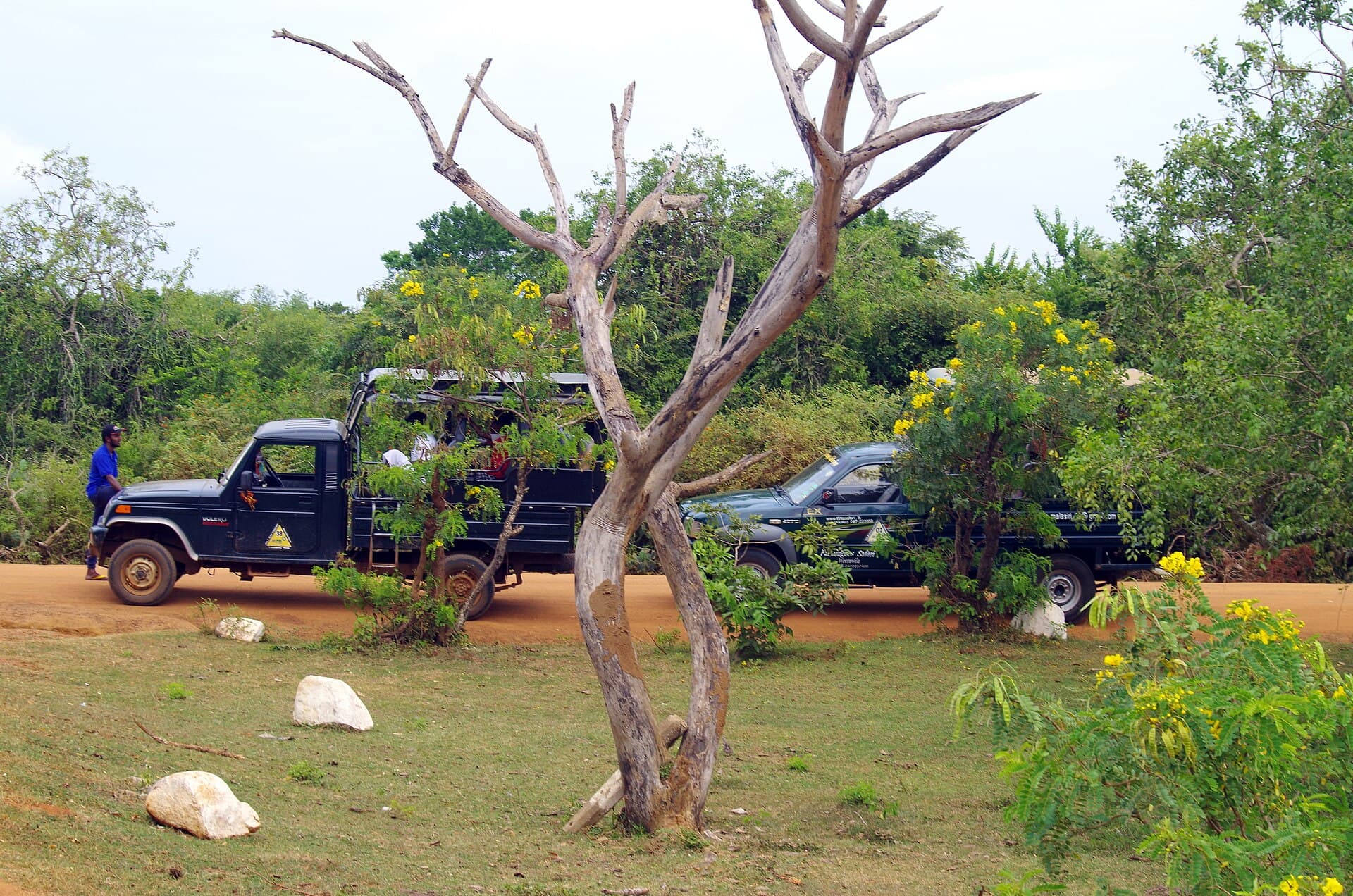 Yala National Park safari — main photo